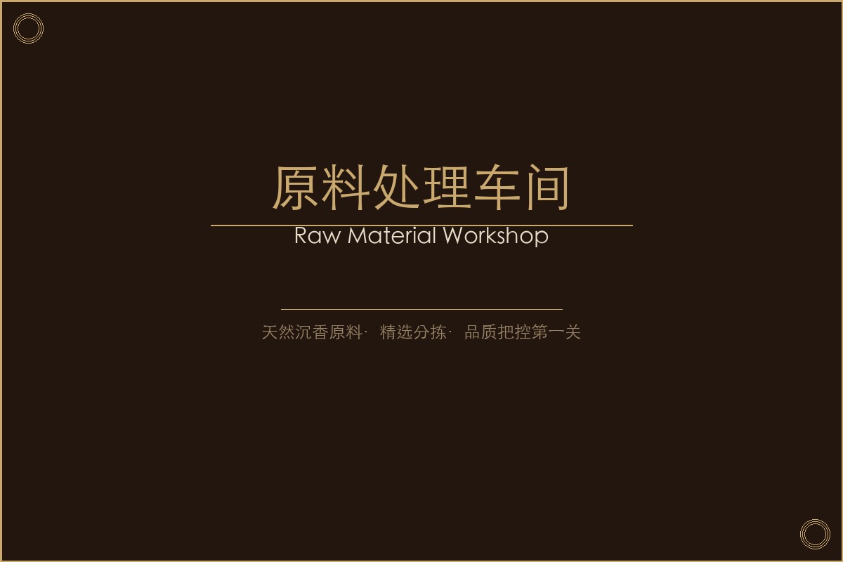 晨雾林间